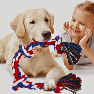 jouet-chien-dents