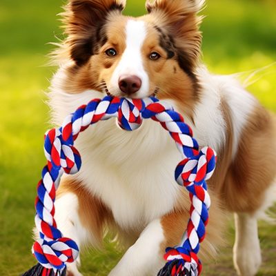 jouet-chien-interactif