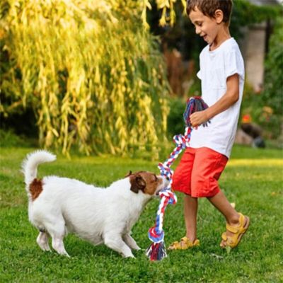 jouet-chien-jeu