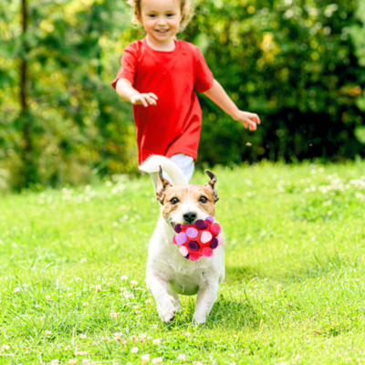 jouet-chien-rouge