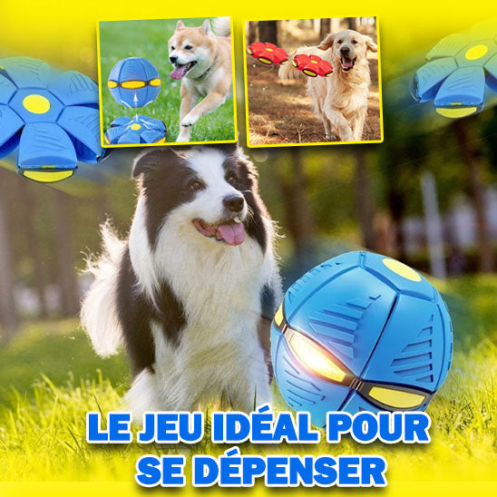 jouet-interactif-pour-chien-energie