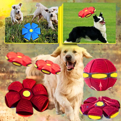 jouet-interactif-pour-chien-rouge