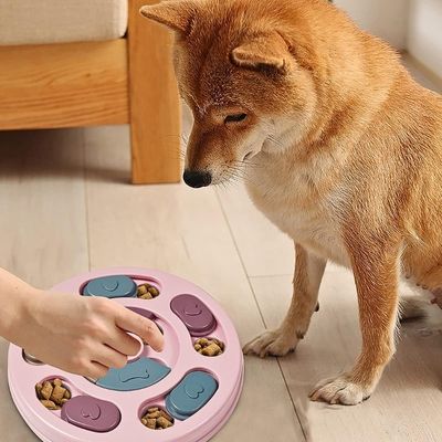 jouet-pour-chien-attention