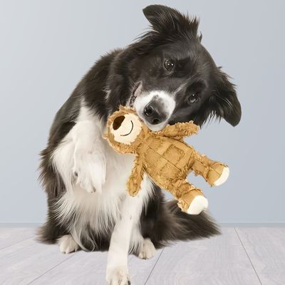 jouet-pour-chien-beige
