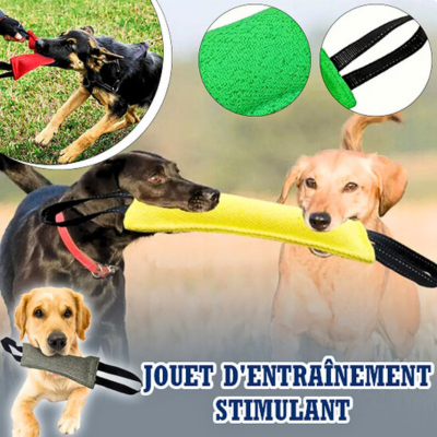 jouet-pour-chien-dressage