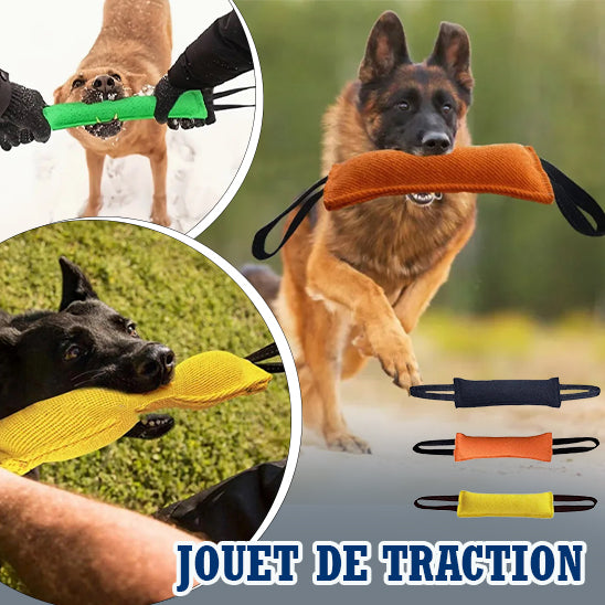 jouet-pour-chien-entrainement