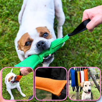 jouet-pour-chien-interactif