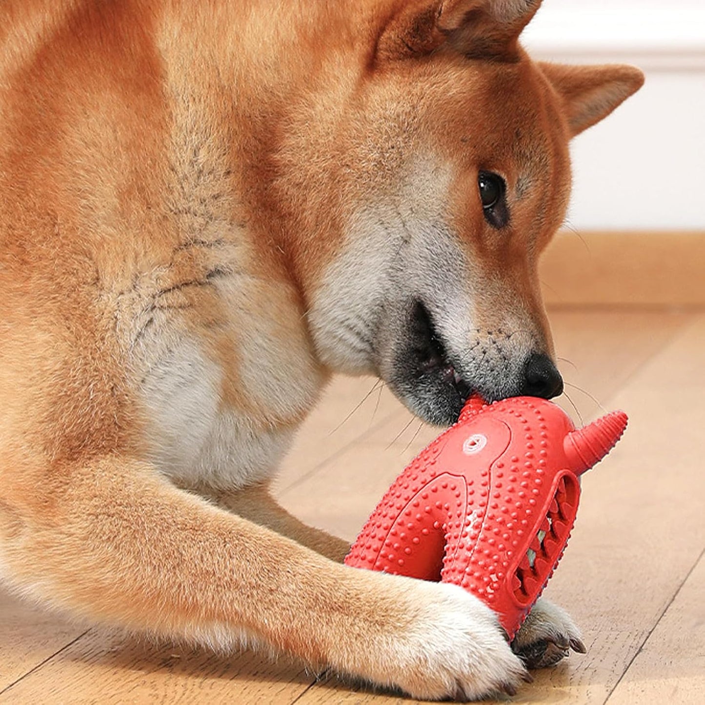 jouet-pour-chien-lavable