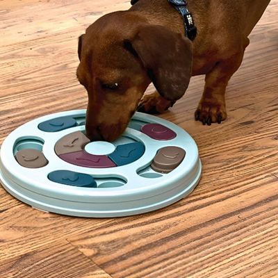 jouet-pour-chien-tickel