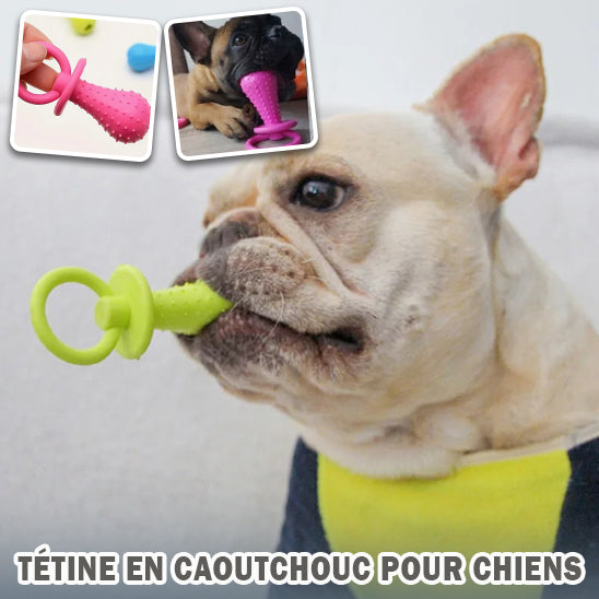 jouets-pour-chiots-dents