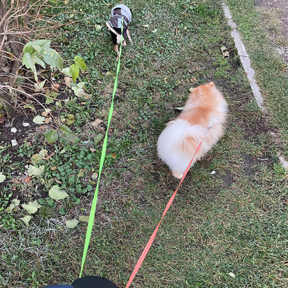 laisse-double-pour-chien-promenade