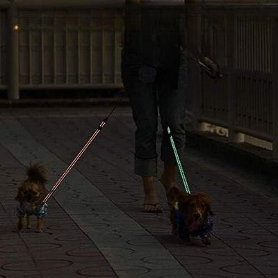 laisse-double-pour-chien-soir