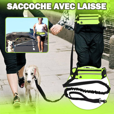 laisse-main-libre-pour-chien-ajustable