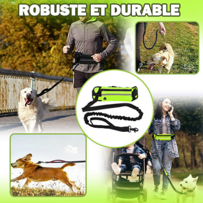 laisse-main-libre-pour-chien-durable