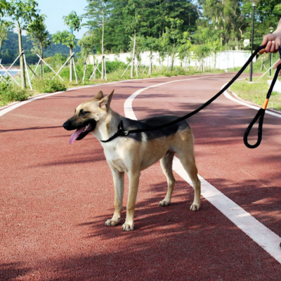 laisse-pour-chien-douce