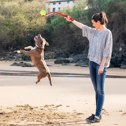 lanceur-de-balle-pour-chien-exercice