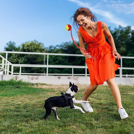 lanceur-de-balle-pour-chien-stress