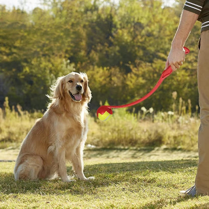 lanceur-de-balle-pour-chien-zen