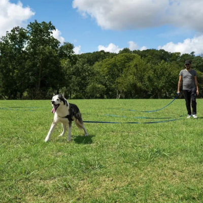 longe-chien-espace