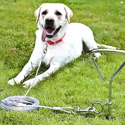 longe pour chien grise
