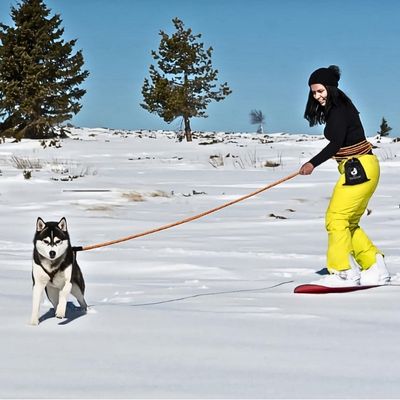 longe pour chien hiver 1