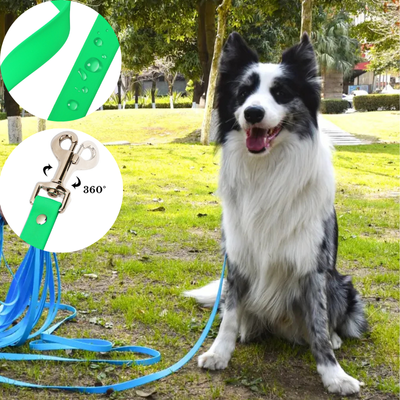 longe-pour-chien-pvc-eau