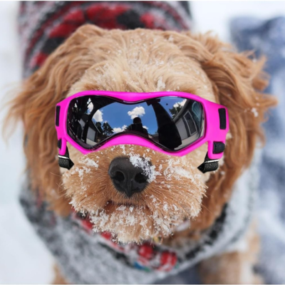 lunette-pour-chien-neige