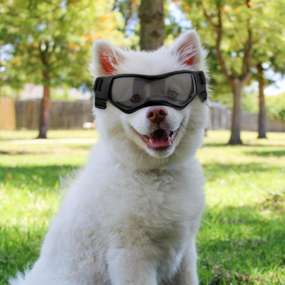 lunette-pour-chien-noire