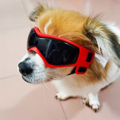 lunette-pour-chien-rouge