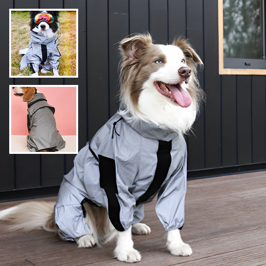 manteau-impermeable-pour-chien-ajustable