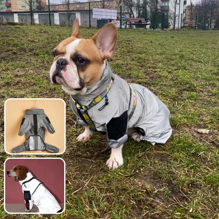 manteau-impermeable-pour-chien-confortable