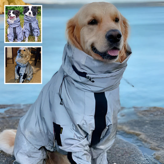 manteau-impermeable-pour-chien-leger