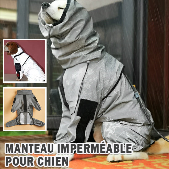 manteau-impermeable-pour-chien-reflechissant