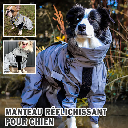 manteau-impermeable-pour-chien-securite