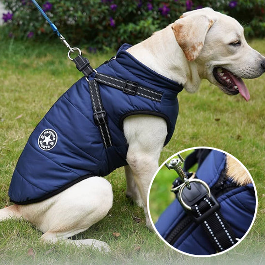 manteau-pour-chien-avec-harnais-intégré-bleu