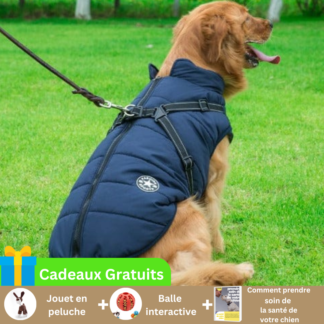 manteau-pour-chien-avec-harnais-integre-bleu