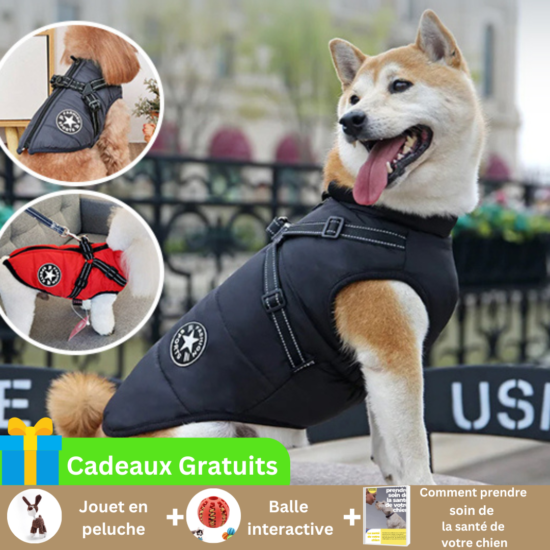 manteau-pour-chien-avec-harnais-integre-impermeable