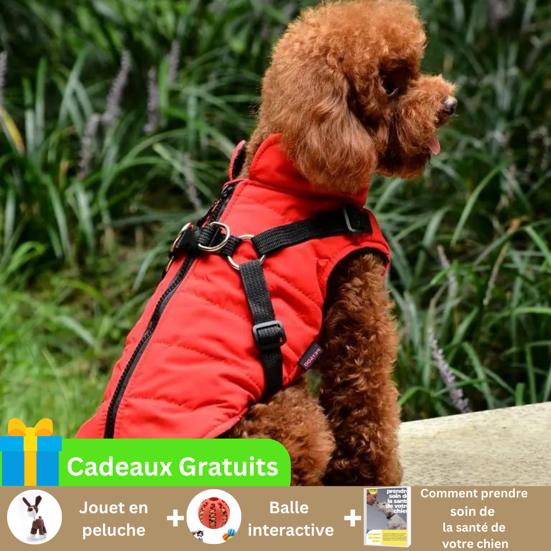 manteau-pour-chien-avec-harnais-integre-rouge