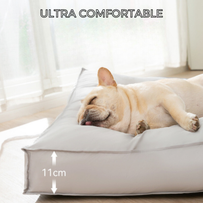 matelas-pour-chien-confortable