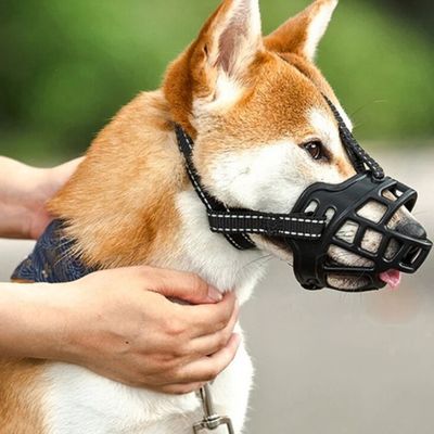 museliere-chien-retenu