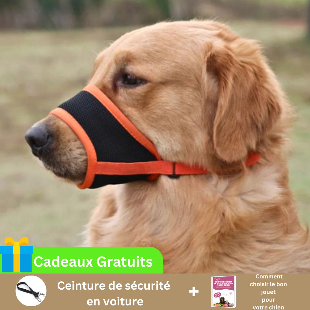 museliere-pour-chien-orange