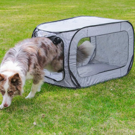 NICHE POUR CHIEN INTERIEUR | Mobile - Wouf chien