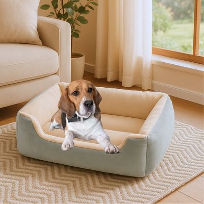 panier à chien cocon