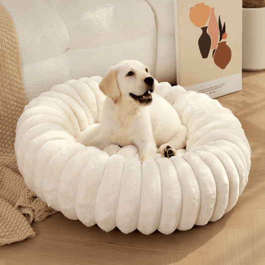 PANIER À CHIEN | Douceur - Wouf chien