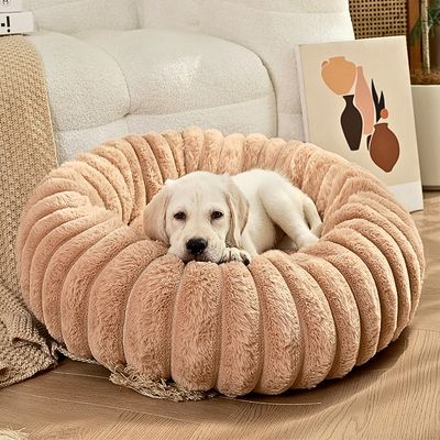 panier a chien kamel