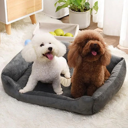 panier à chien pour deux chiens