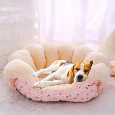 panier-a-chien-repos
