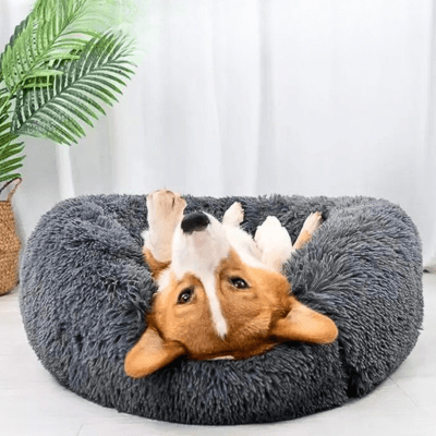 PANIER CHIEN | Circlbed™ - Wouf chien