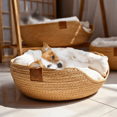 PANIER CHIEN OSIER | Petitosier™ - Wouf chien