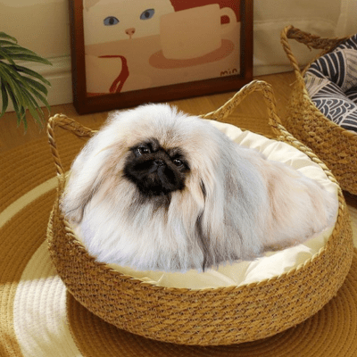 PANIER OSIER CHIEN | LuxeRotin™ - Wouf chien